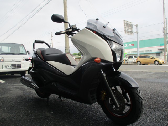 �z���_�t�F�C�YTYPE-S�i���Q����F�a�S���쒬�j�摜1