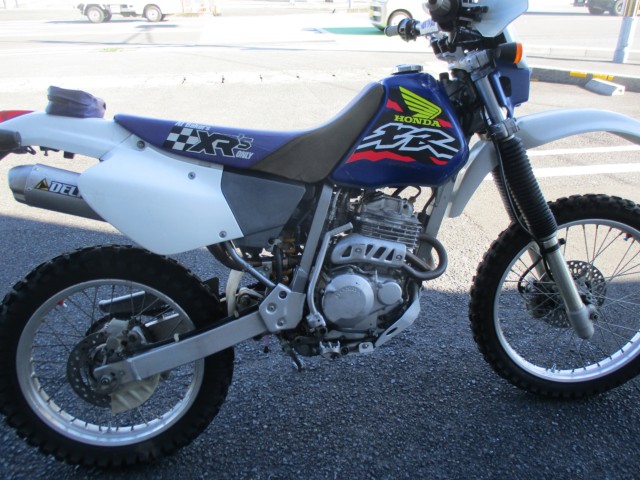 z_XR250iQFaS쒬j摜2