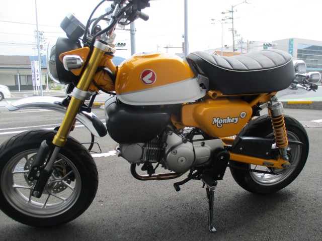 �z���_�����L�[125�i���Q����F�a�S���쒬�j�摜3