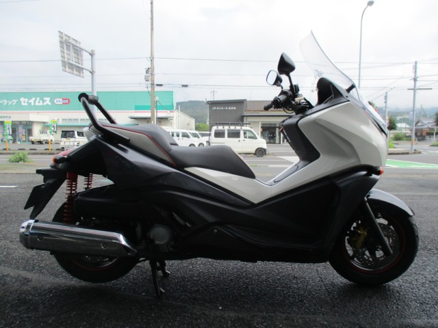 �z���_�t�F�C�YTYPE-S�i���Q����F�a�S���쒬�j�摜3