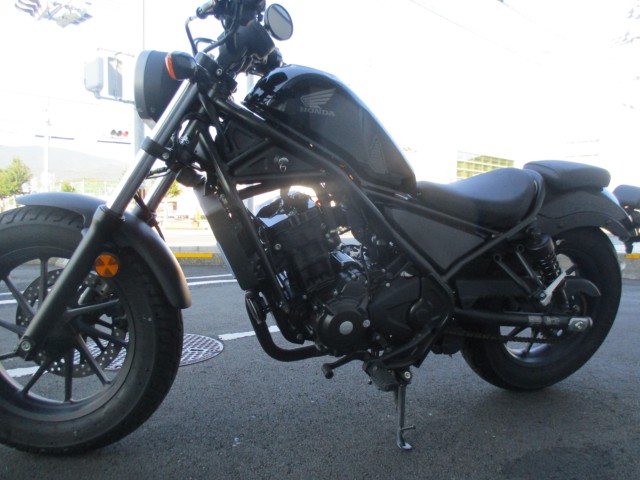 �z���_���u��250�i���Q����F�a�S���쒬�j�摜4