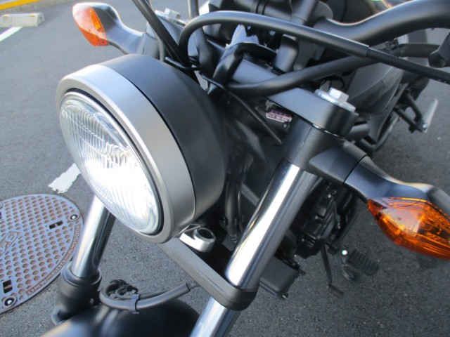 �z���_���u��250�i���Q����F�a�S���쒬�j�摜6