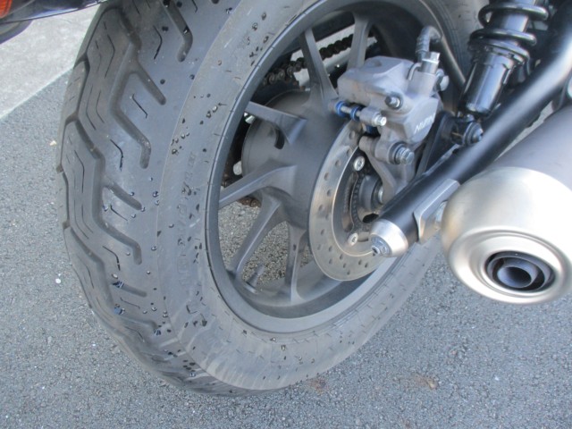 �z���_���u��250�i���Q����F�a�S���쒬�j�摜15