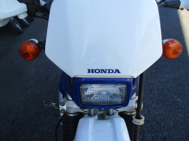 z_XR250iQFaS쒬j摜15