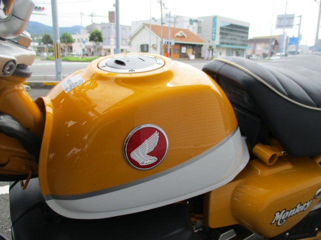 �z���_�����L�[125�i���Q����F�a�S���쒬�j�摜5