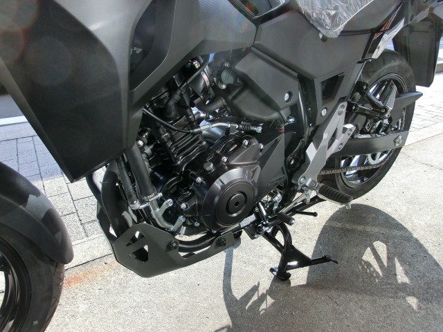 XYLV-Strom250iQRsj摜8