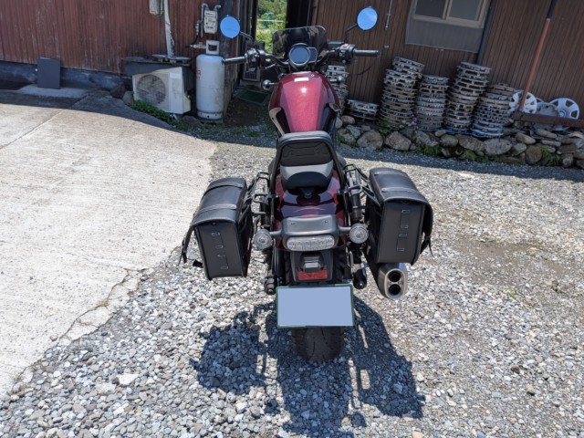 �z���_���u��1100�i���Q���k�F�a�S�S�k���j�摜15