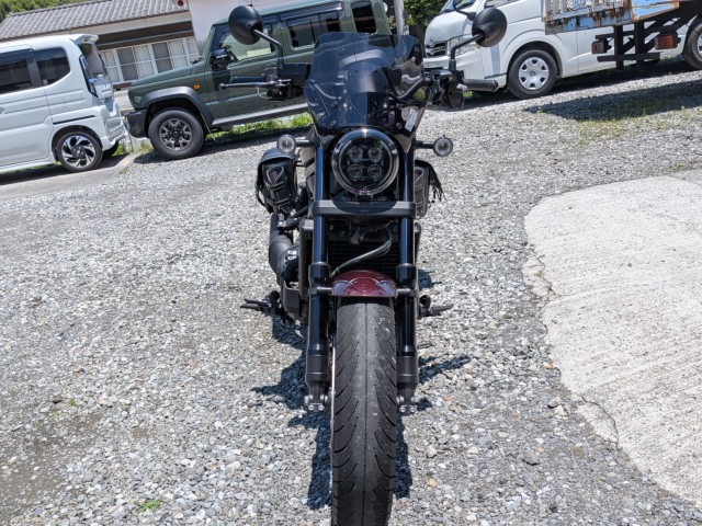 �z���_���u��1100�i���Q���k�F�a�S�S�k���j�摜3