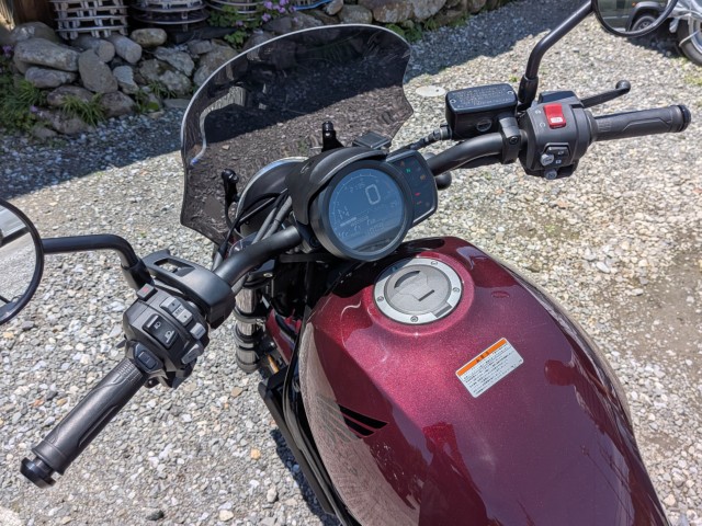 �z���_���u��1100�i���Q���k�F�a�S�S�k���j�摜10