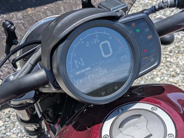 �z���_���u��1100�i���Q���k�F�a�S�S�k���j�摜11