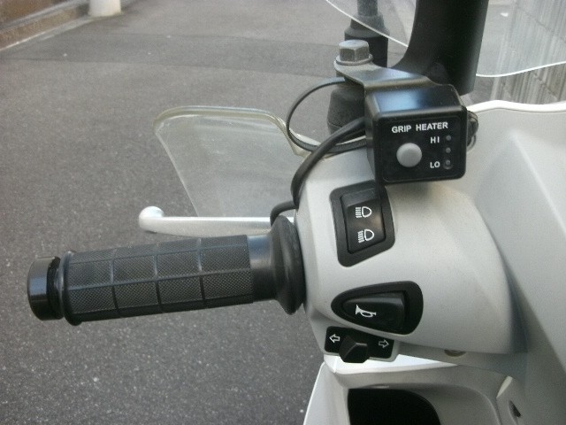 �z���_�f�B�I110�i���Q���ɗ\�s�j�摜9