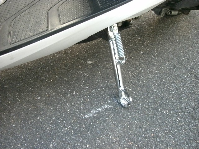 �z���_�f�B�I110�i���Q���ɗ\�s�j�摜11