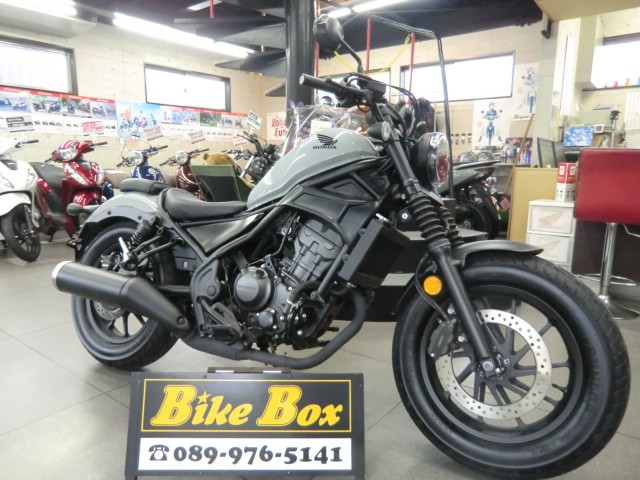 �z���_���u��250�i���Q�����R�s�j�摜1