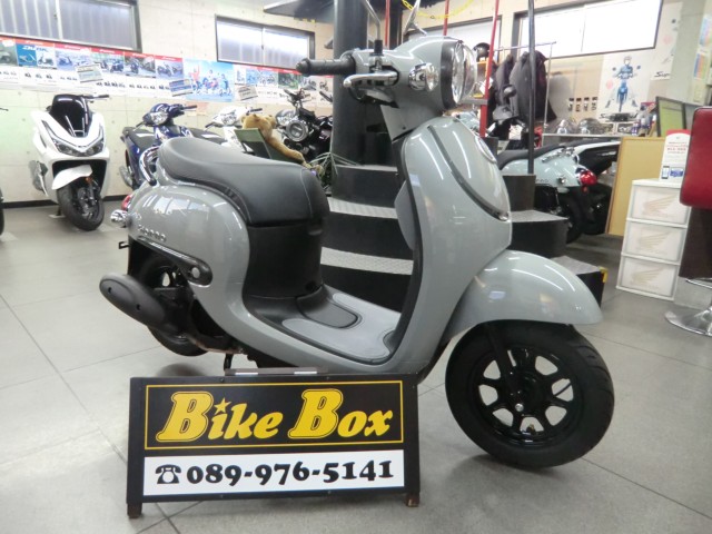 �z���_�W�����m�i���Q�����R�s�j�摜1