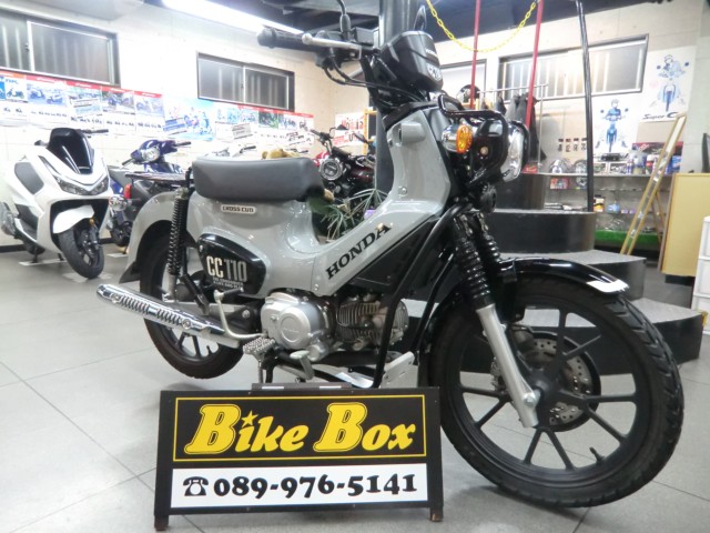 �z���_�N���X�J�u110�i���Q�����R�s�j�摜1