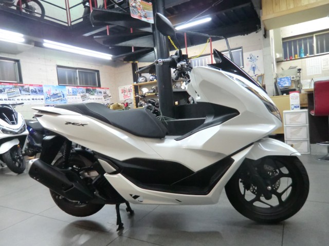 �z���_PCX�i���Q�����R�s�j�摜2