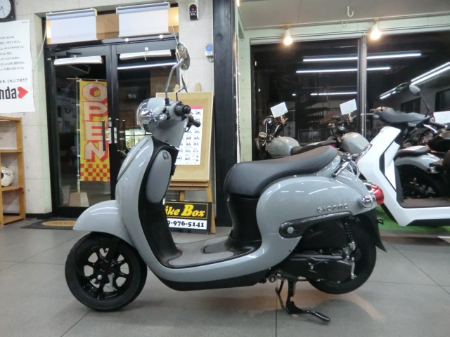 �z���_�W�����m�i���Q�����R�s�j�摜3