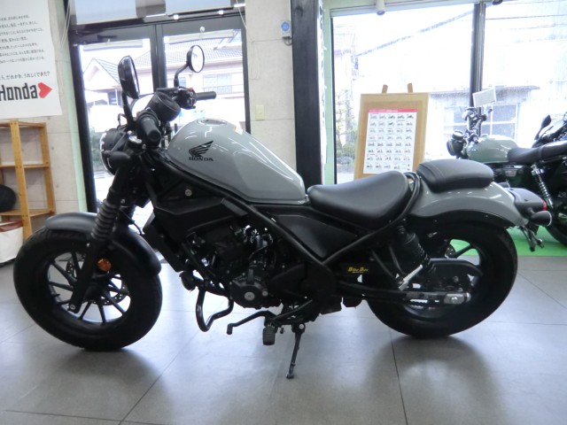 �z���_���u��250�i���Q�����R�s�j�摜3