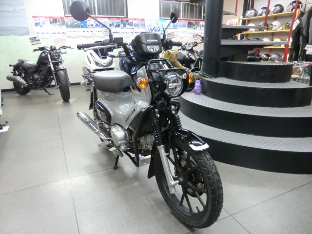�z���_�N���X�J�u110�i���Q�����R�s�j�摜4