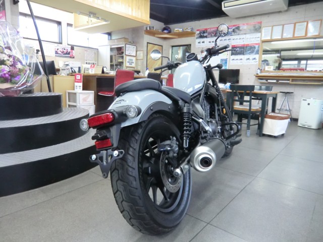 �z���_���u��250�i���Q�����R�s�j�摜5