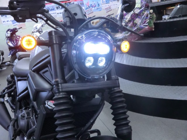 �z���_���u��250�i���Q�����R�s�j�摜8