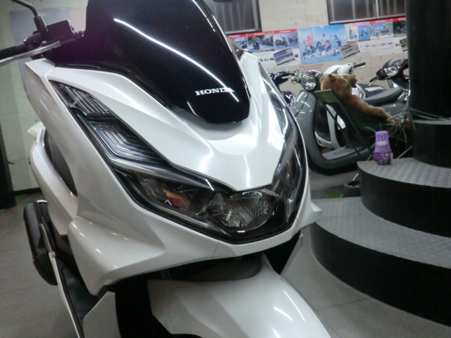 �z���_PCX�i���Q�����R�s�j�摜9