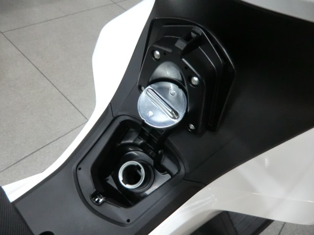 �z���_PCX�i���Q�����R�s�j�摜10