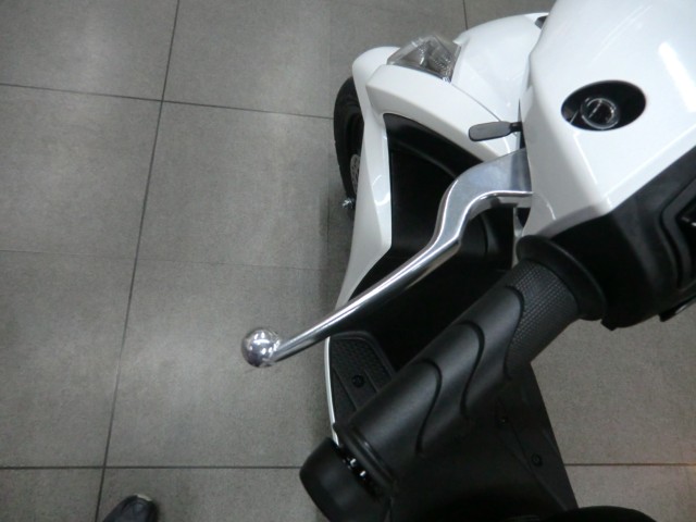 �z���_�f�B�I110�i���Q�����R�s�j�摜11