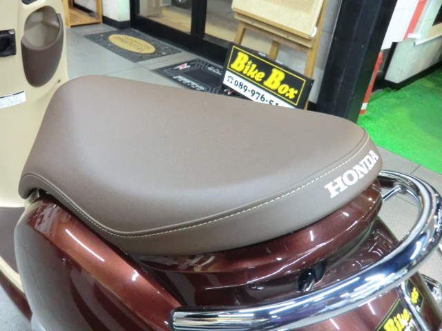 �z���_�W�����m�i���Q�����R�s�j�摜13