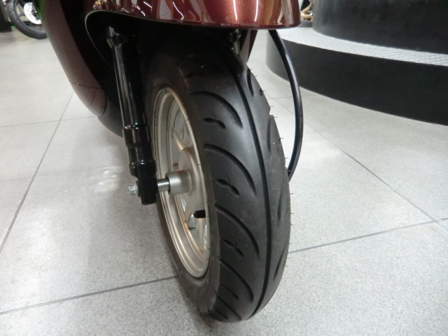 �z���_�W�����m�i���Q�����R�s�j�摜17