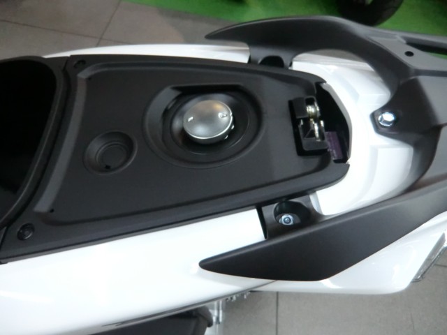 �z���_�f�B�I110�i���Q�����R�s�j�摜15