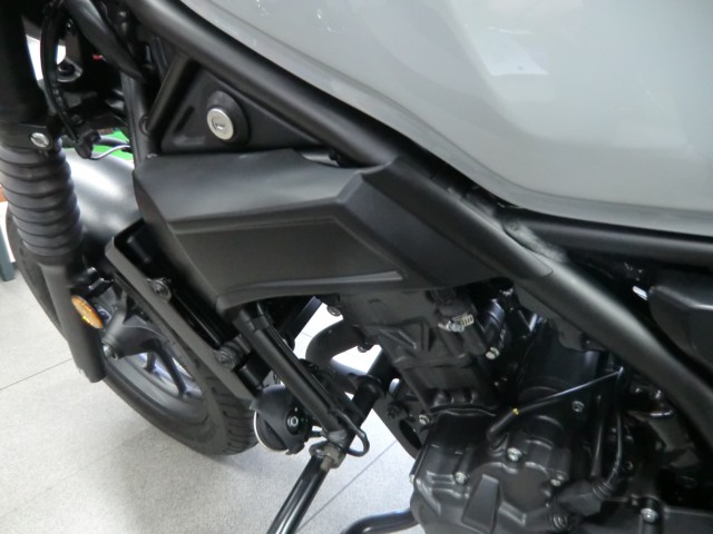 �z���_���u��250�i���Q�����R�s�j�摜14