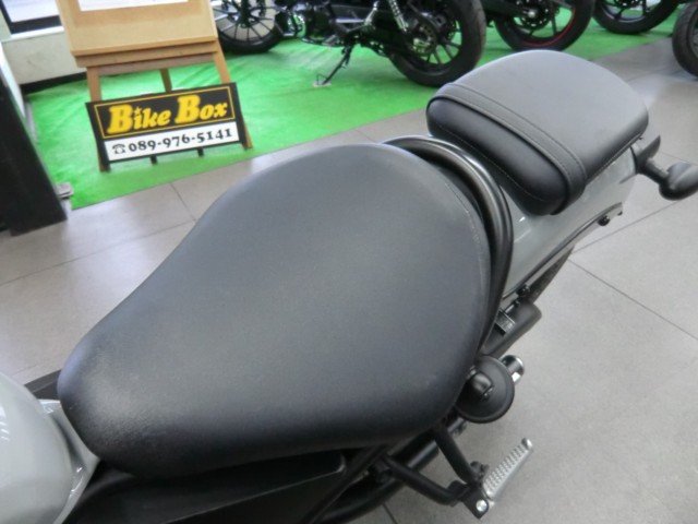 �z���_���u��250�i���Q�����R�s�j�摜16