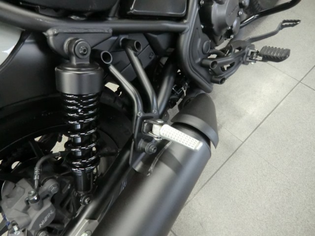 �z���_���u��250�i���Q�����R�s�j�摜19