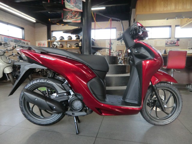 �z���_Dio110 Lite�i���Q�����R�s�j�摜2