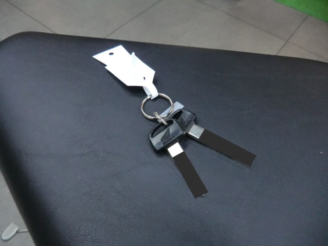 �z���_�N���X�J�u110�i���Q�����R�s�j�摜19