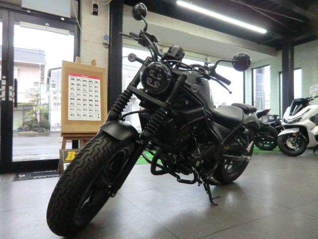 �z���_���u��250�i���Q�����R�s�j�摜22