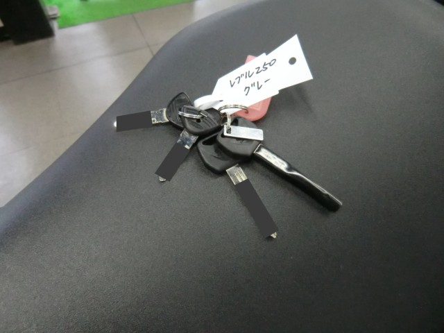 �z���_���u��250�i���Q�����R�s�j�摜18