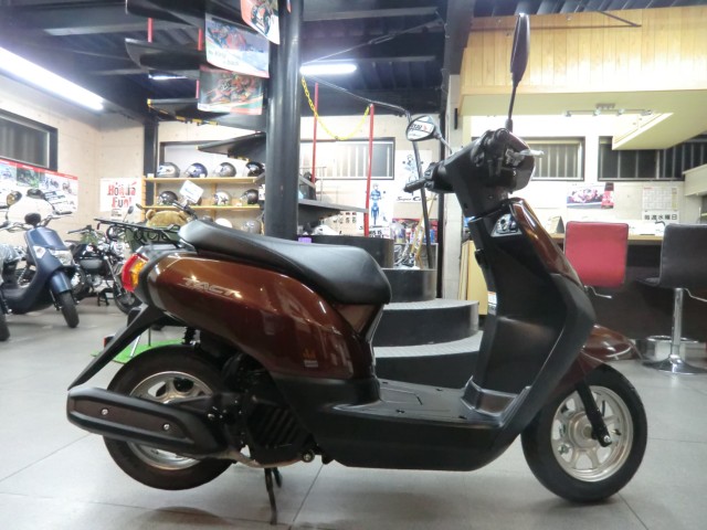 �z���_�^�N�g�E�x�[�V�b�N�i���Q�����R�s�j�摜2