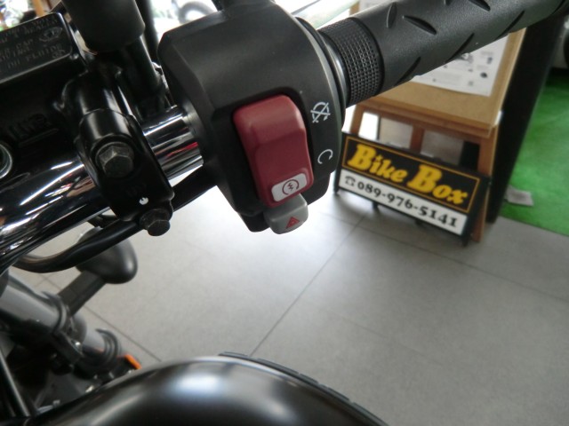 z_GB350iQRsj摜10