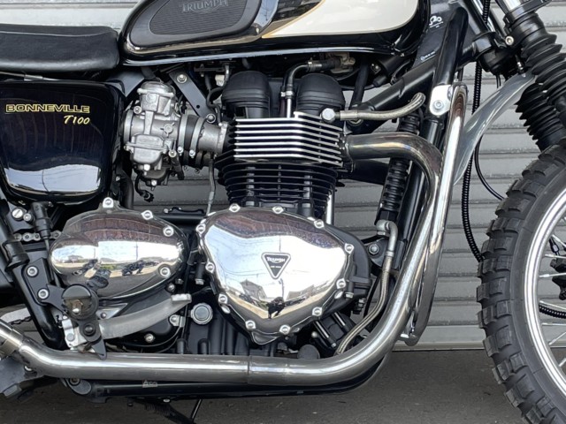 gCAtgCAt{lrT100iQɗ\sj摜3