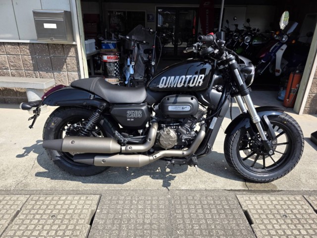 QJMOTORQJMOTOR SRV250i쌧ۋTsj摜4