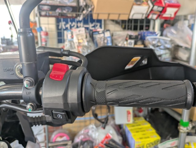 XYLV-Strom250i쌧ωsj摜11