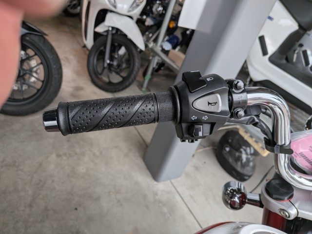 �z���_�����L�[125�i���쌧�ω����s�j�摜8