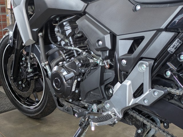 XYLV-Strom250i쌧ωsj摜5