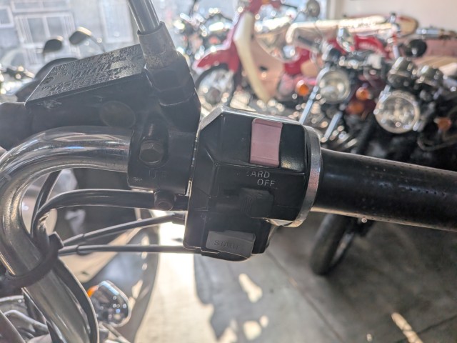 ���}�nXV250�r���[�S�i���쌧�ω����s�j�摜11