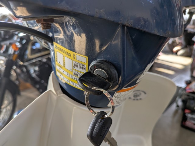 �z���_�X�[�p�[�J�uC50�i���쌧�ω����s�j�摜12