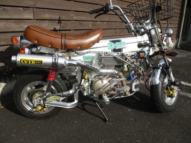 �z���_�_�b�N�X50�i���쌧���̌S���쒬�j�摜6