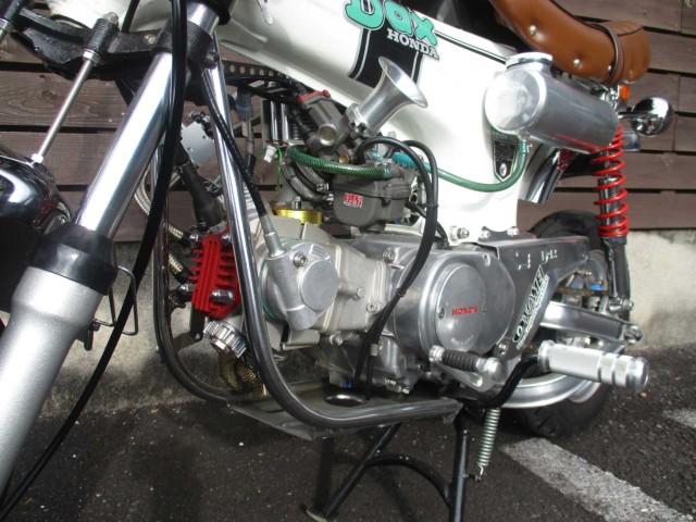�z���_�_�b�N�X50�i���쌧���̌S���쒬�j�摜18