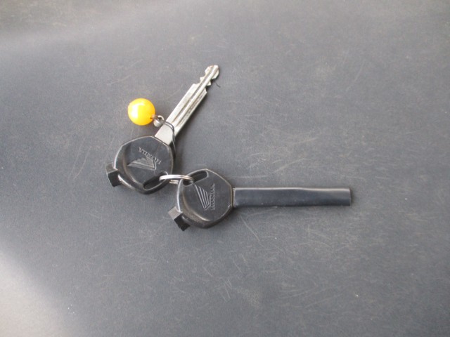 �z���_Today�i���쌧���̌S���쒬�j�摜19